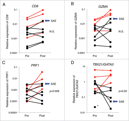 Figure 2. Nivolumab treatment-induced changes in the intratumoral expression of immune-related genes. Expression levels of CD8 (A), GZMA (B), PRF1 (C), and expression ratio of TBX21/GATA3 (D) in pre-treatment (pre) and post-treatment (post) tumors are presented. The y-axis indicates expression level of each gene relative to that of GAPDH. Red circles and black squares indicate tumor samples from responders and non-responders, respectively. Blue arrows indicate a patient who manifested severe adverse events (SAE). Asterisk indicates a patient whose expression of TBX21 in the tumor of post-treatment was undetectable. The Mann–Whitney U test was used to examine statistical significance.