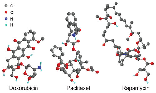 Figure S1 The three-dimensional molecular structures of doxorubicin, paclitaxel, and rapamycin (constructed by ChemBio 3D, molecular structure based on ChemACX database). Only polar hydrogen is shown.