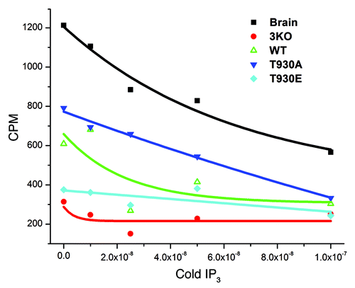 Figure 3. The T930E mutation decreases Ins(1,4,5)P3 binding affinity. Microsomal preparations from brain as a positive control and from the different DT40 cell lines as indicated were subjected to the Ins(1,4,5)P3 binding assay to measure the binding affinity of Ins(1,4,5)P3 receptor mutants. Briefly lysates were allowed to bind radioactively (3H) labeled Ins(1,4,5)P3 and the label competed with cold Ins(1,4,5)P3. The competitive assay provides a relative comparative measure Ins(1,4,5)P3R affinity in the different mutants as compared with the wild type receptor (WT). The negative control was the 3KO cell line which does not express any of the three Ins(1,4,5)P3 receptor isoforms and as such provides non-specific background binding.