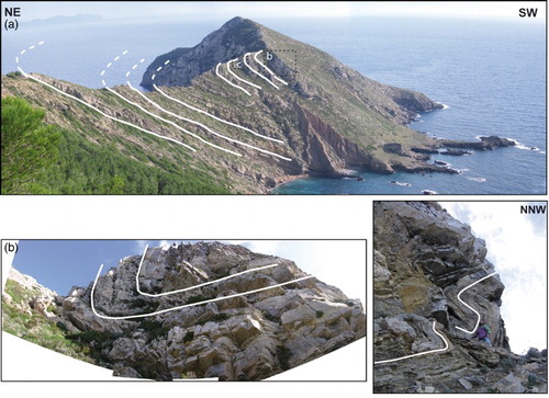 Figure 8. (a) The major syncline structure recognized along the Punta Bassano promontory; (b) and (c) minor folds compatible with a syncline hinge zone.