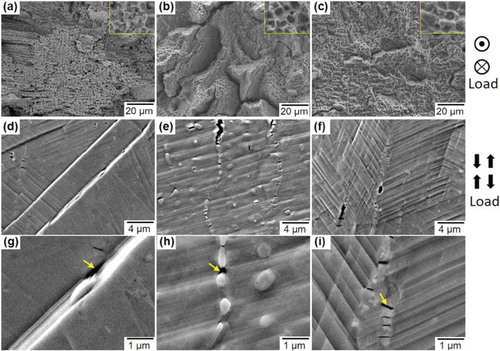 Figure 4. SEM images showing fracture surface (a–c) and side surface (d–f) of as-EBM built (a and d), heat-treated (b and e) and reverse-transformed (c and f) samples after stress-controlled fatigue to failure; (g–i) magnified view of (d–f). The view direction is either parallel (a–c) or perpendicular (d–i) to the stress-loading axis in fatigue tests.