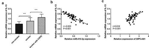 Figure 7. (a) The declined mRNA levels of IL-13 in smokers and smokers with COPD. (b) The target relation between miR-410-3p and IL-13. (c) The association between IL-13 and OIP5-AS1. ***P < 0.001
