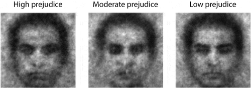 Figure 6. CIs of Moroccan faces for subgroups of participants with different levels of prejudice against Moroccans (adopted with permission from Dotsch et al., Citation2008).