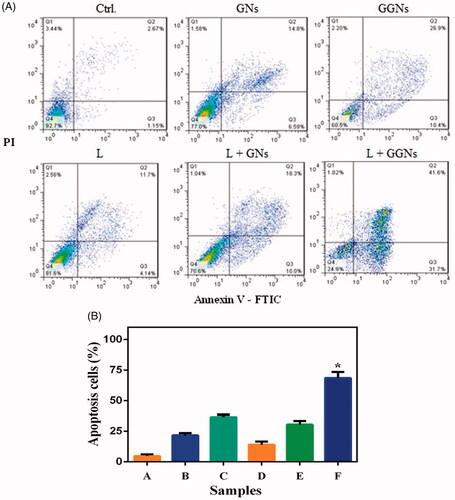 Figure 10. Flow cytometry analysis. (a) flow cytometry analysis of the A375 cells were exposed to NIR laser after incubation GNs and GGNs. (b) irradiation NIR laser in presence GGNs induce apoptosis significantly. Data are presented as the mean ± standard deviation of triplicate. *p values < 0.05, compared with apoptosis cells of control sample. A: ctrl; B: GNs; C:GGNs; D: laser; E: laser + GNs; F: laser + GGNs.