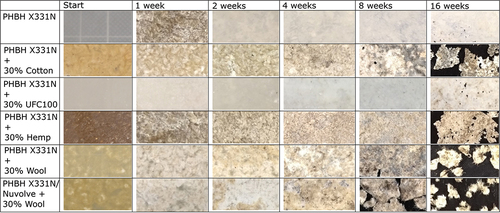 Figure 3. Visual inspection of the excavated pieces after a given period. The first picture is brighter due to a different environment. Picture after 1 week of burying should be used as a reference.