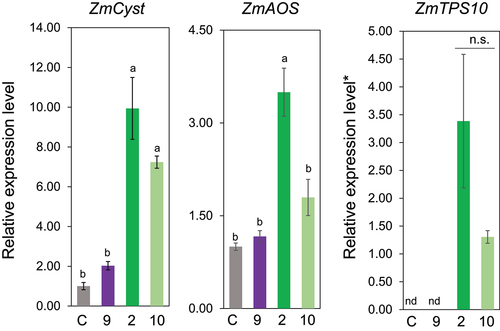 Figure 4. Effect of occurrence and geometry of a double bond in six carbon aliphatic alcohols (compounds 9, 2, and 10) on the expression levels of ZmCyst, ZmAOS, and ZmTPS10. Values represent means ± SEM (n=4). Different letters indicate significant difference (P<0.05, one-way ANOVA followed by Tukey’s test).