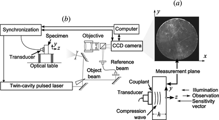 Figure 1 Experimental setup and representative solid specimen.