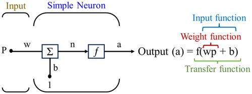 Figure 8. Simple neuron structure.