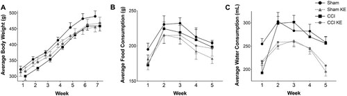 Figure 3. Average weekly (A) body weight, (B) food and (C) water consumption throughout the study. CCI and KE did not affect weight gain (A). Rats supplemented with KE consumed less (B) food and (C) water compared to rats that received vehicle (water) by gavage. Error bars represent SEM. (n = 8 rats/group).