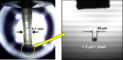 Figure 3. Two camera images of piezoelectric transducer droplet formation process are shown. The left photo shows the quartz capillary (70 µm ID), and the right photo shows a higher resolution image of typical droplets.