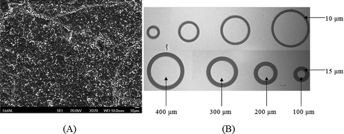 Figure 1. (A) Representative SEM micrograph (plan view) of a 200-nm thick CuGaSe film deposited by RF sputtered at 600°C from a stoichiometric target (B). Microscopic image of metal contact patterns developed on a CuGaSe thin film: dots separated from infinite area contact by an annular ring space for contact type determination. (C) Si/CGS heterojunction fabrication process flow.