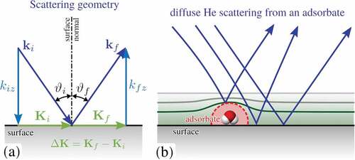 Figure 5. (a) Illustration of the scattering geometry in a HAS experiment, with incident and final wavevectors as and , respectively and the incident angle with respect to the surface normal. Components parallel to the surface are given in capital letters, and , with the momentum transfer . (b) Scattering from isolated adsorbates typically gives rise to diffuse scattering as illustrated. Isolated adsorbates exhibit an apparent He scattering cross section much larger than its size as illustrated by the dashed red line. It follows from the scattering process since He atoms are scattered from the electron cloud and the He beam exhibits also ‘refraction’ in the vicinity of the adsorbate as illustrated by the blue lines.