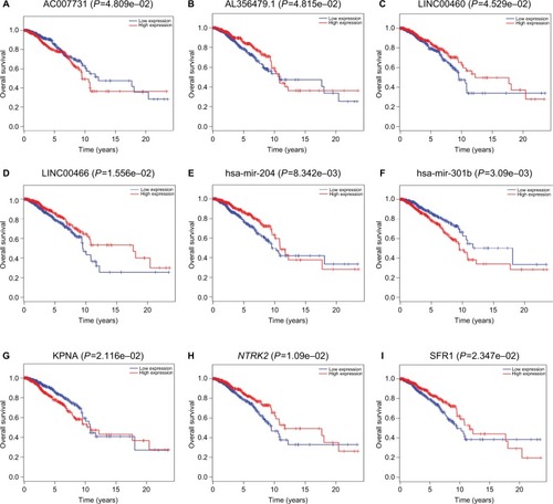 Figure 6 Kaplan–Meier survival curves of four DElncRNAs (A–D), two DEmiRNAs (E–F), and three DEmRNAs (G–I) associated with the overall survival in breast cancer.