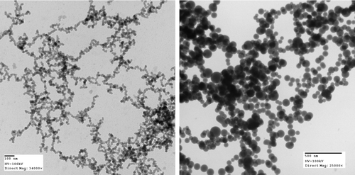 FIG. 3 TEM images of silica aerosol gels prepared using carbon dioxide (left) and helium (right) as the background gas.
