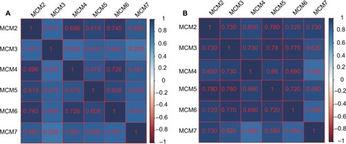 Figure 4 Coexpression matrix of MCM genes in PDAC tumor tissues and human normal pancreas tissues, and demonstrated that MCM2–7 were strongly positively correlation and coexpressed with each other in both PDAC tumor and normal pancreas tissues.Notes: (A) Coexpression matrix of MCM genes in PDAC tumor tissues; (B) coexpression matrix of MCM genes in human normal pancreas tissues.Abbreviations: MCM, minichromosome maintenance; PDAC, pancreatic ductal adenocarcinoma.