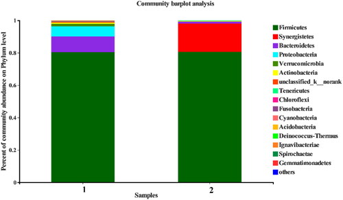 Figure 4. Phylum level of bacterial community structure. Sample 1, New pit mud; Sample 2, Old pit mud.