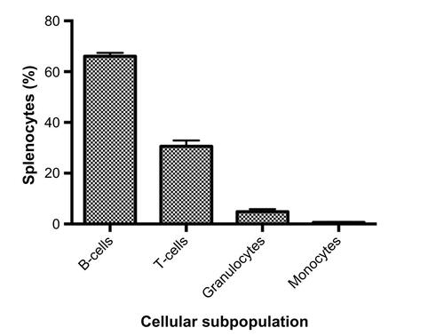 Figure S1 Cellular subpopulations of freshly isolated splenocytes.Notes: Splenocytes were isolated from male C57BL/6J (n=4) mice. Our populations were comparable to murine spleen cell composition when available in the Mouse Phenome Database (B-cells, granulocytes, and monocytes P<0.05 using t-tests).