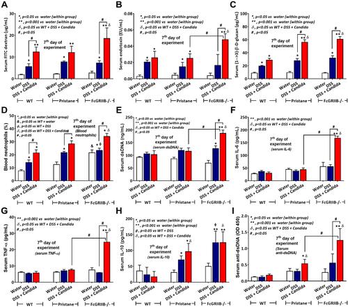 Figure 7 Characteristics of systemic impact on colon injury in mice from wild-type (WT), Pristane and FcGRIIB-/- groups after the administration of dextran sulfate solution (DSS) alone or with Candida gavage (DSS+Candida) as determined by gut permeability defect (gut-leakage) including FITC-dextran assay, endotoxemia and serum (1→3)-β-D-glucan (A–C) and systemic inflammation as indicated by peripheral blood neutrophils (D), serum dsDNA (a marker of neutrophil extracellular traps) (E), serum cytokines (IL-6, TNF-α and IL-10) (F–H) and anti-dsDNA (a major lupus auto-antibody) (I) are demonstrated (n = 6–9/group). *p < 0.05 vs water (within group); **p < 0.001 vs water (within group); ϕp < 0.05 vs WT+DSS; δp < 0.05 vs WT + DSS + Candida; #p < 0.05.