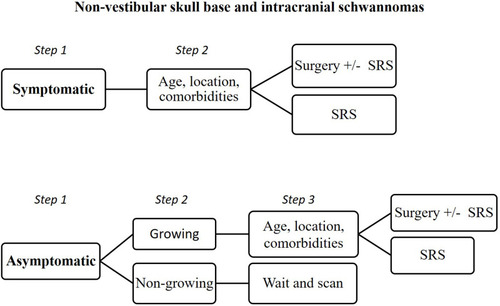 Figure 6 Steps in the management of non-vestibular skull base and intracranial schwannomas.