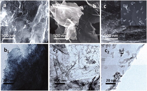 Figure 1. Microscopic images of prepared (a) PA (SEM), (b and b1) rGO (SEM) and (c, c1 and c2) HAp loaded nano-GO/PA (SEM) samples.