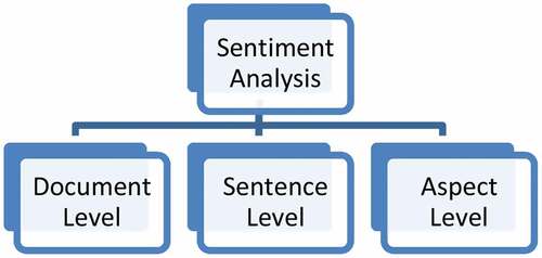 Figure 1. Level of sentiment analysis.
