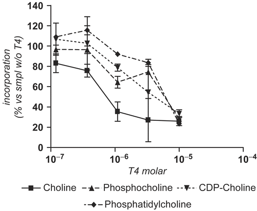 Figure 4.  Effects of T4 on choline metabolism pathway.P. falciparum-infected erythrocytes, 3D7 strain, 2.7 x107 total infected cells were incubated in a final volume of 200 μL of modified RPMI 1640 choline-free supplemented with 25 mM Hepes (pH 7.6) and [3H]-choline (32 μM; 2.95 Ci/mmol). T4 was added at the indicated concentrations. Suspension was incubated for 2 h at 37°C in a 5 % CO2 atmosphere. Reactions were stopped at 4°C. Phospholipids and water-soluble metabolites were separated according the Folch extracting protocol. A thinlayer-chromatography was performed to fractionate the phospholipids and the aqueous metabolites, respectively in the organic phase and the supernatant aqueous phase. Revealed spots with iodine vapour and ninhydrine were identified with standards. Each spots were sp. off and measured by scintillation counting. Results are means of 4 values ± SEM.