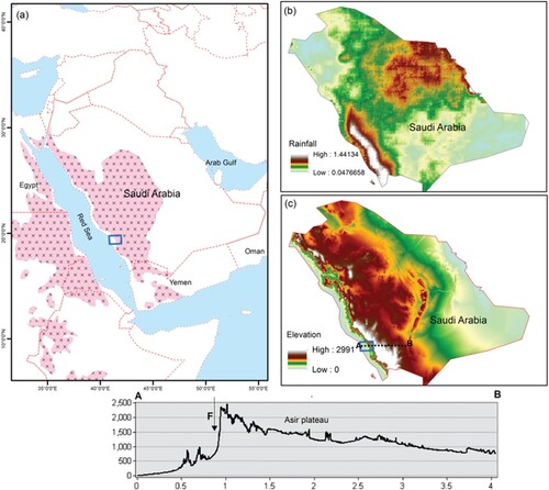 Figure 1. (a) Regional view of KSA, related to other countries and the Arabian-Nubian Shield (ANS) in pink colour; (b) Locational map of KSA, represented by TRMM rainfall precipitation data; (c) SRTM DEM of KSA.