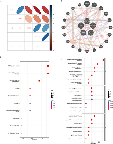 Figure 4 DE-NRGs interaction relationship and correlation analysis. (A) Correlation between DE-NRGs. (B) The co-expression network of DE-NRGs. (C) KEGG analysis of co–expressed genes. (D) GO analysis co–expressed genes.