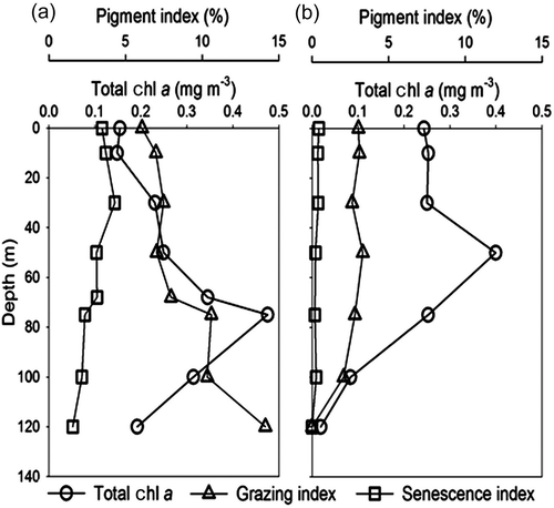 Figure 6. Vertical profiles of Total chl a (Total chl a; monovinyl + divinyl chl a), Grazing Index ([phide a+ phytin a]/[Total chl a + phide a+ phytin a + chlide a]) and Senescence Index ([chlide a]/[Total chl a + phide a + phytin a + chlide a]) at the (a) PF and (b) SSTF.