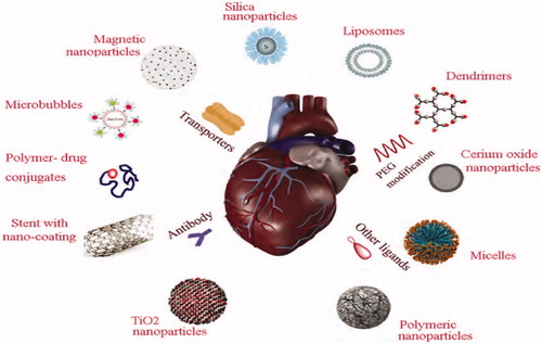 Figure 3. Different nanoparticle heart-targeted delivery systems including magnet lipid nanoparticle are shown.