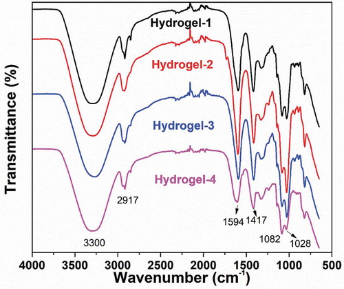 Figure 6. FT-IR spectra of all kinds of PVA/SA/AgNPs nanocomposite hydrogel