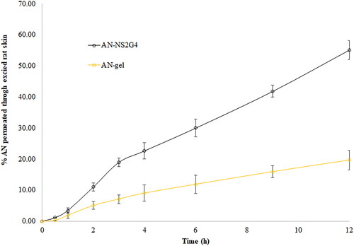 Figure 6. Ex-vivo rat skin permeation profile of an from the an-NS2G4 and an-gel.