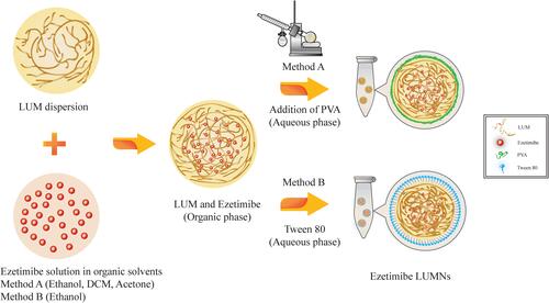 Figure 3 Illustrative representation of preparation methods of LUM-Ezetimibe nanoparticles.