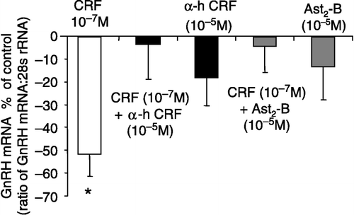 Figure 3 Effect of CRF alone or in combination with the CRF receptor antagonists: α-helical CRF9–41 (α-h CRF) or Ast2-B, on GnRH mRNA expression in the GT1-7 cell line. The inhibitory effect of CRF (10− 7 M) on GnRH mRNA expression was reversed by both α-h CRF and Ast2-B. Quantification of mRNAs for GnRH and 28S rRNA was carried out on all samples and the values expressed as a ratio of GnRH mRNA to 28S rRNA (mean ± SEM). The results are presented as the percentage of control. *P < 0.05 vs. control, CRF+α-hCRF, CRF + Ast2-B, α-hCRF alone or Ast2-B alone: One-way ANOVA, followed by Dunnett's test. All treatments were performed in triplicate and experiments were repeated 3–4 times.