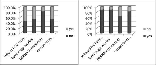 Figure 4. Does your wife/mother work outside the home? (L) Does your wife/mother work on the farm? (R). Source: Author’s survey data.