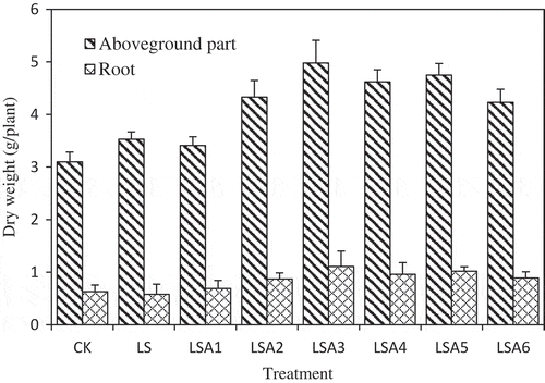 Figure 2. Dry weight yields of corn grown in loess soil receiving attapulgite-stabilized sludge.