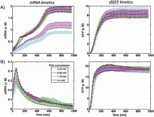 Figure 2. The kinetics of gene expression for the control construct in (A) PURE and (B) S30 extract cell-free systems at different concentration of DNA plasmids. The transcription was reported by synthesis of MGapt and translation was monitored with sfGFP production