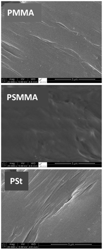 Figure 8. SEM micrographs of PMMA, PSt, and PSMMA specimens.