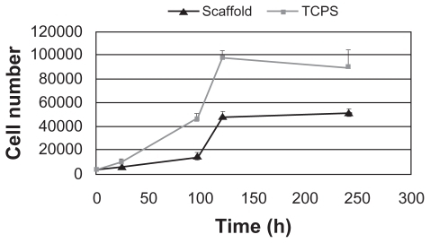 Figure 5 Proliferation of LSCs seeded on plasma-treated PCL matrix and TCPS.Abbreviations: LSCs, limbal stem cells PCL, poly (ɛ-caprolactone); TCPS, tissue culture polystyrene.