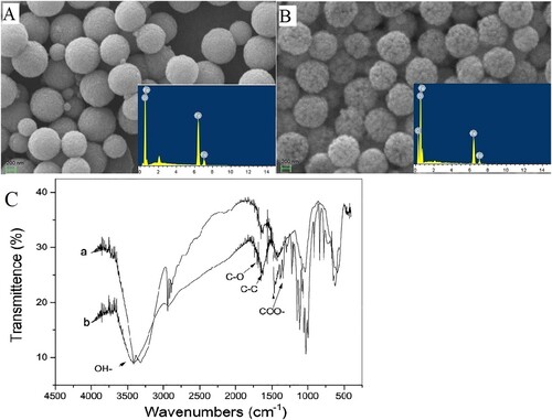 Figure 1. The morphology of bare magnetic beads and glycosylated beads, EDX profiles and Fourier transform infrared (FTIR) characterization (A) The SEM and EDX profiles of bare magnetic beads (B) The SEM and EDX profiles of glycosylated beads. (C) FTIR spectra of the glucose and glycosylated MBs samples: a-glucose b-glycosylated MBs.