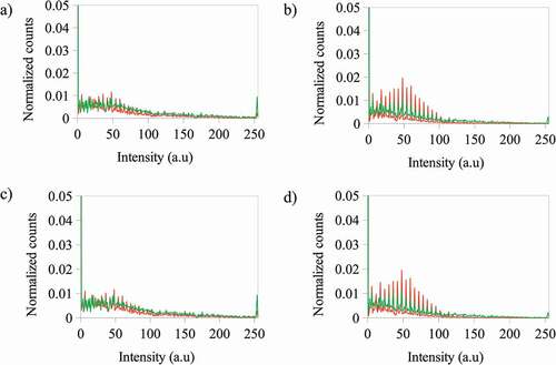 Figure 6. Normalized counts for the total intensity of the red (R) channel for the images of the photoactive polymer (in CS2) under fluorescence after irradiation at λ = 365 nm at a) – 3 g·L−1 with ZnS NPs at 5% wt and – 5 g·L−1 with ZnS NPs at 5% wt b) – 3 g·L−1 with ZnS NPs at 10% wt and – 5 g·L−1 with ZnS NPs at 10% wt c) – 3 g·L−1 with ZnS NPs at 5% wt and – 3 g·L−1 with ZnS NPs at 10% wt d) – 5 g·L−1 with ZnS NPs at 5% wt and – 5 g·L−1 with ZnS NPs at 10% wt