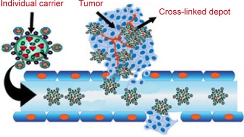 Figure 9 Schematic image of transformable core–shell-based nanocarriers.