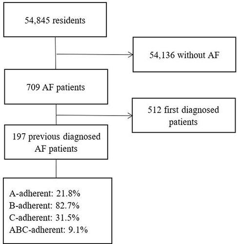 Figure 1 Flow chart of AF patients’ selection.