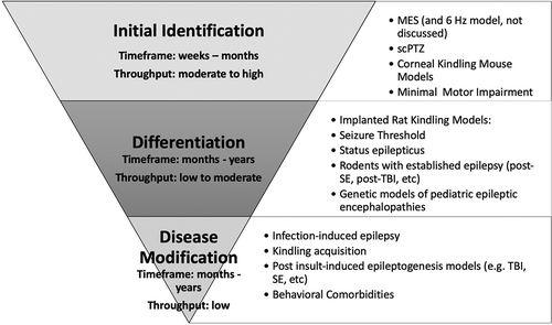 Figure 1. Approach to the identification and differentiation of promising antiseizure drugs