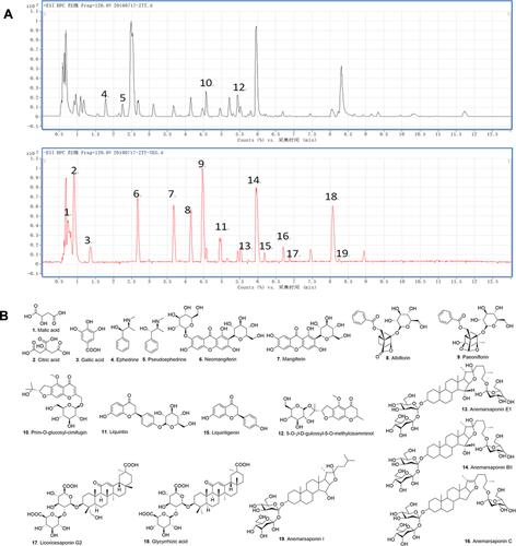 Figure 1 Result of the HPLC-Q-TOF-MS/MS analysis of the water extracts of GSZD. (A) MS-BPC spectrogram (positive and negative mode). (B) Compounds in water extracts of GSZD identified by the HPLC-Q-TOF-MS/MS assays.