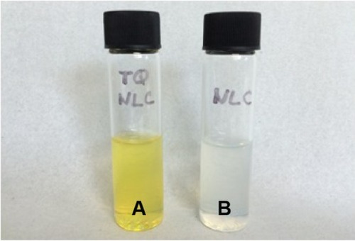 Figure 1 Appearance of (A) TQNLC and (B) blank NLC at 25°C after 24 hours.Abbreviations: NLC, nanostructured lipid carrier; TQ, thymoquinone; TQNLC, TQ-loaded NLC.