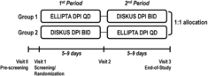Figure 2.  Study design schematic. BID, twice daily; DPI, dry powder inhaler; QD, once daily.