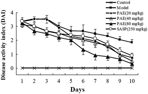 Figure 3. Enemas administration of P. americana extract (PAE) ameliorated dinitrochlorobenzene and acetic acid-induced colitis. Changes in disease activity index score were determined daily throughout the 10-d experiment period.