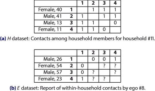 Fig. 1 Example observation units from the two datasets. Household composition is observed for both, but whereas every contact in the H households is observed, in the E households contacts not involving the ego are missing by design.