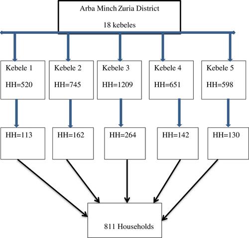 Figure 1 Schematic presentation of sampling procedure of the study participants. Note: HH means households.